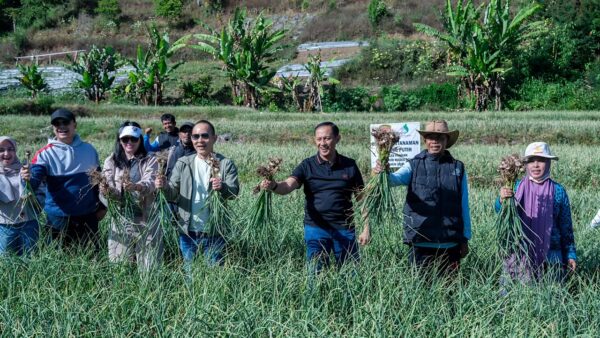 Satgas Pangan Polri Perkuat Swasembada Bawang Putih, Lahan Tanam di Sembalun Capai 534 Hektare